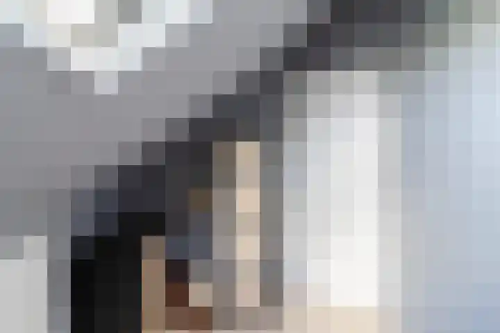 Merelplein 19 Boskoop thumbnail 31