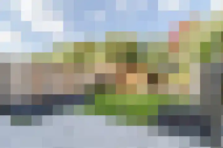 Merelplein 19 Boskoop thumbnail 33