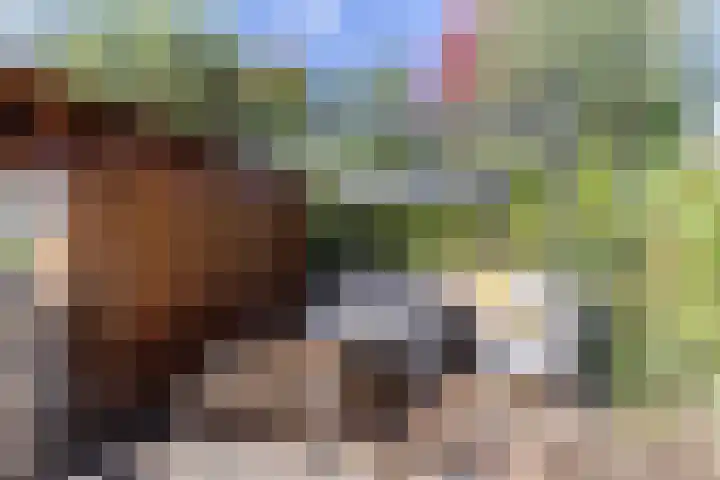 Merelplein 19 Boskoop thumbnail 34