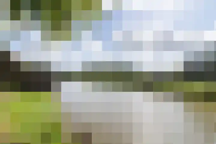 Merelplein 19 Boskoop thumbnail 39