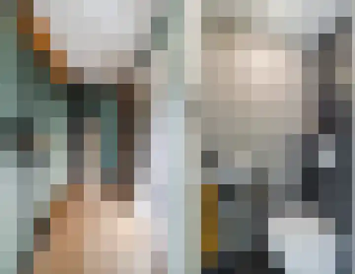 Merelplein 19 Boskoop thumbnail 6