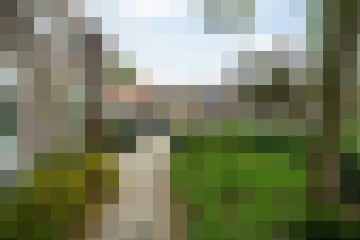 Merelplein 2 Leeuwarden thumbnail 33