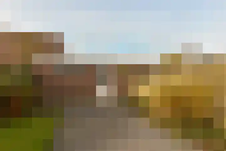 Merelslag 12 de Hoef thumbnail 23