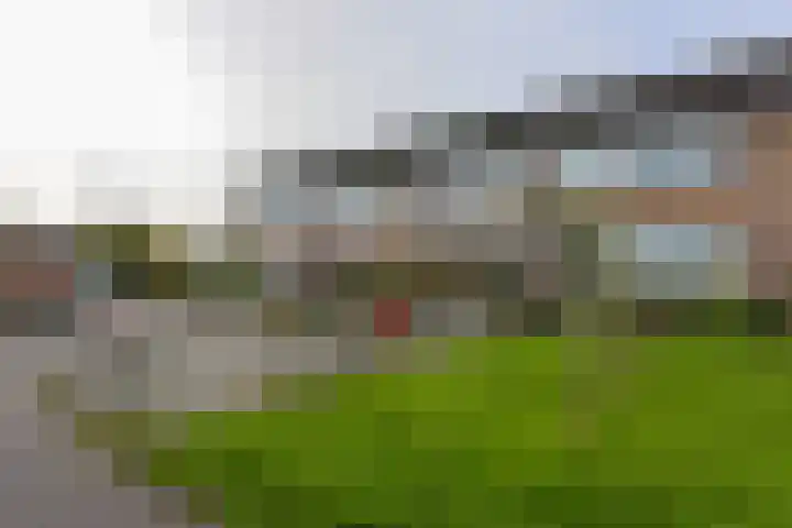 Merelslag 12 de Hoef thumbnail 28