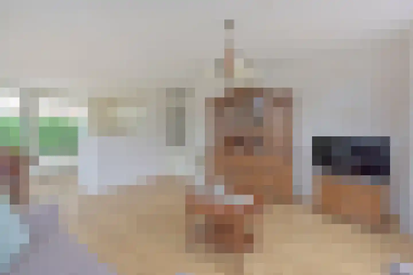 Merelslag 53 de Hoef thumbnail 7