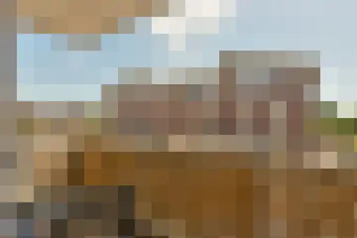Merelslag 59 de Hoef thumbnail 10