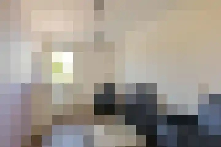 Merelslag 59 de Hoef thumbnail 15