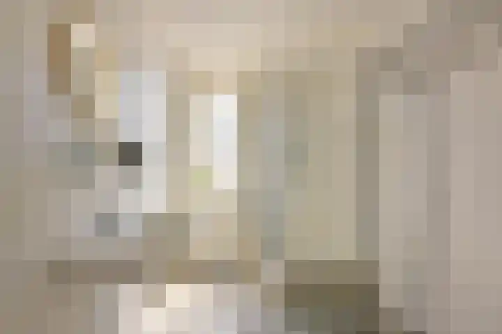 Merelslag 59 de Hoef thumbnail 18