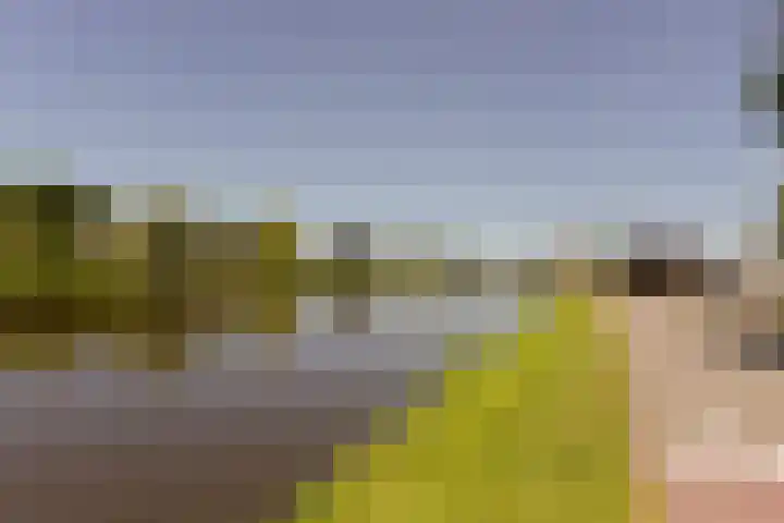Merelslag 59 de Hoef thumbnail 24