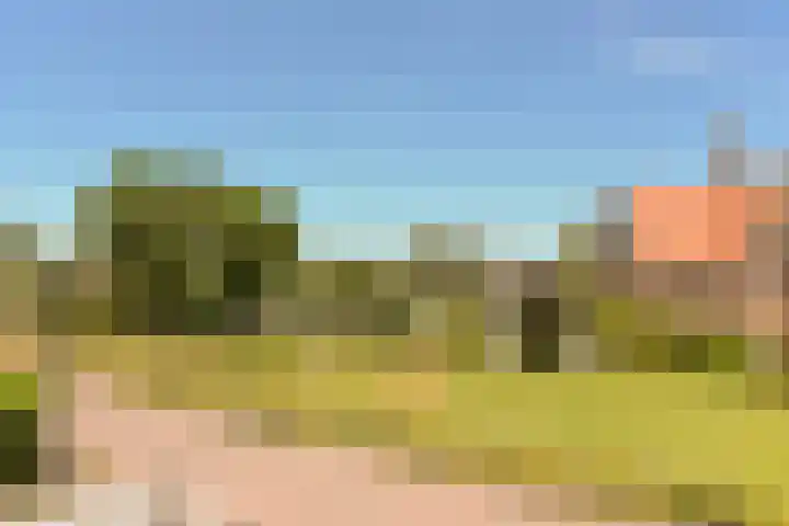 Merelslag 59 de Hoef thumbnail 25