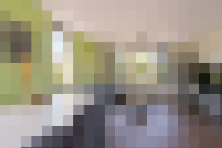 Merelslag 59 de Hoef thumbnail 4
