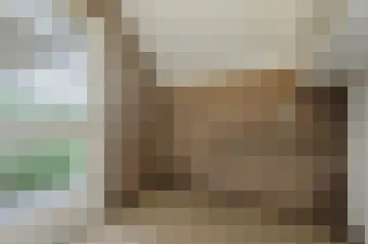 Merelslag 66 de Hoef thumbnail 12