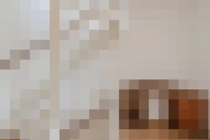 Merelslag 66 de Hoef thumbnail 24