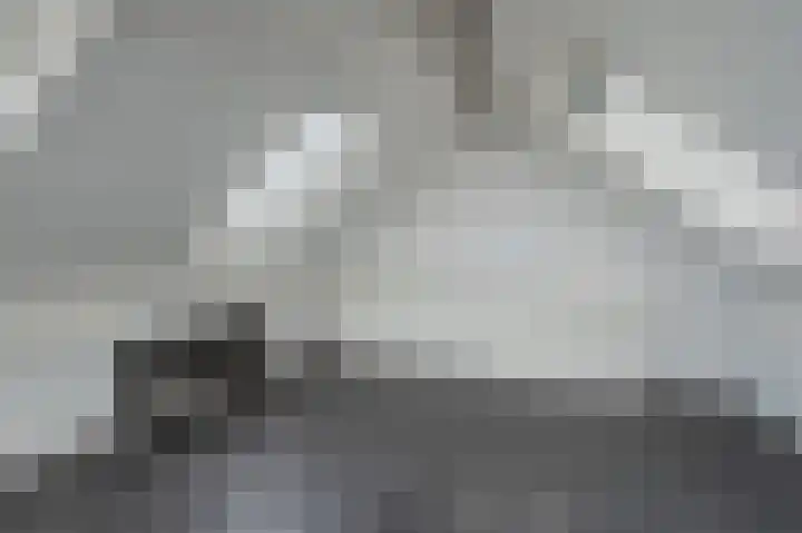 Merelslag 66 de Hoef thumbnail 27