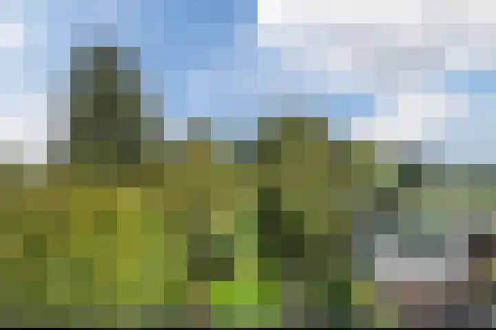 Merelslag 66 de Hoef thumbnail 31