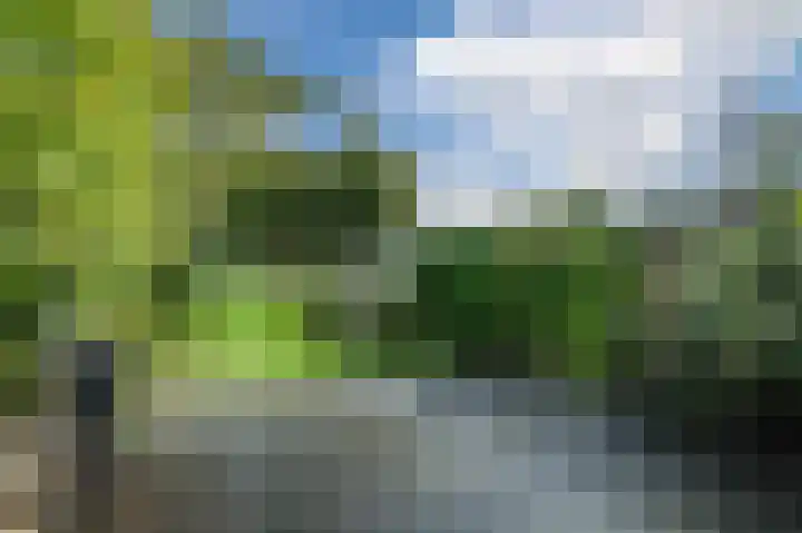 Merelslag 66 de Hoef thumbnail 32