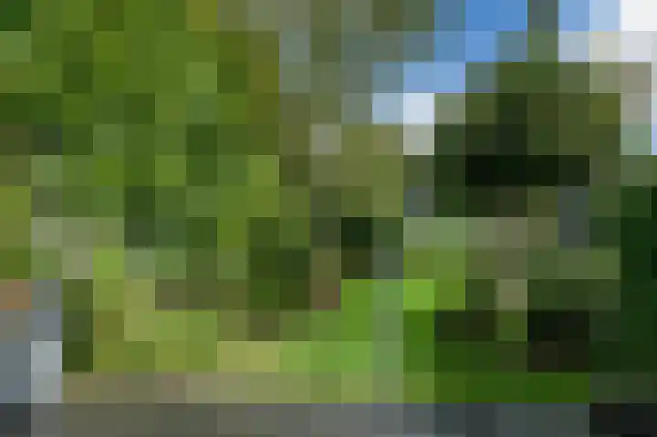 Merelslag 66 de Hoef thumbnail 33