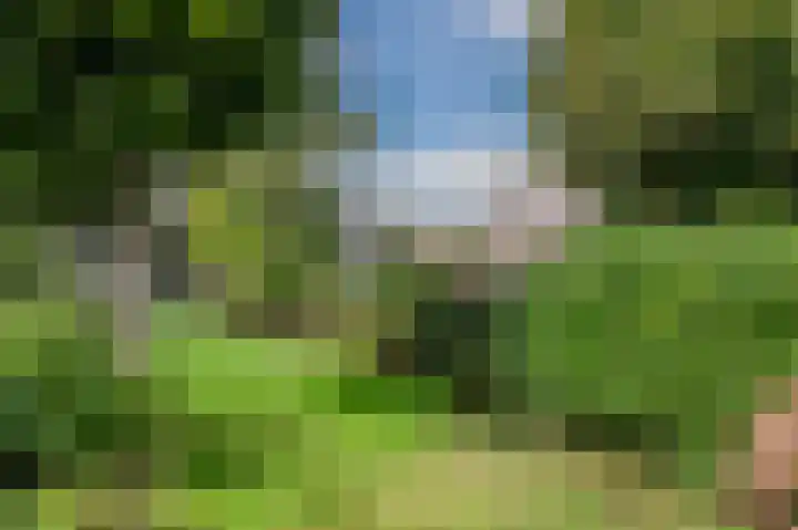 Merelslag 66 de Hoef thumbnail 34