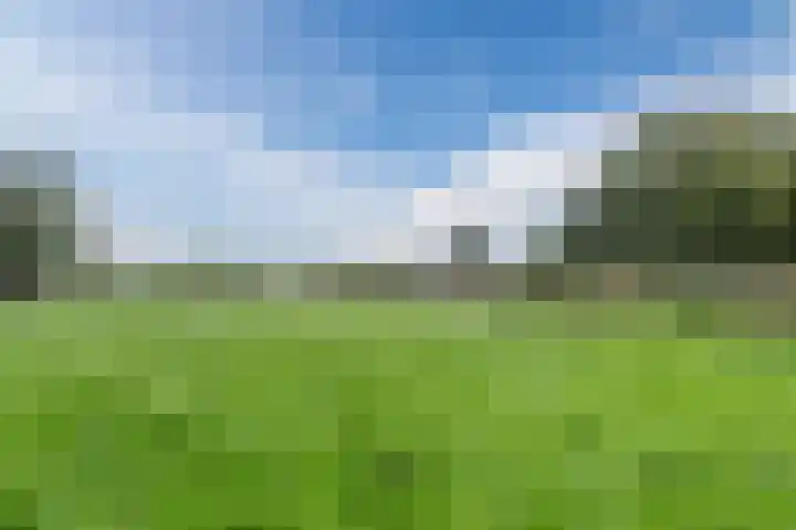 Merelslag 66 de Hoef thumbnail 38