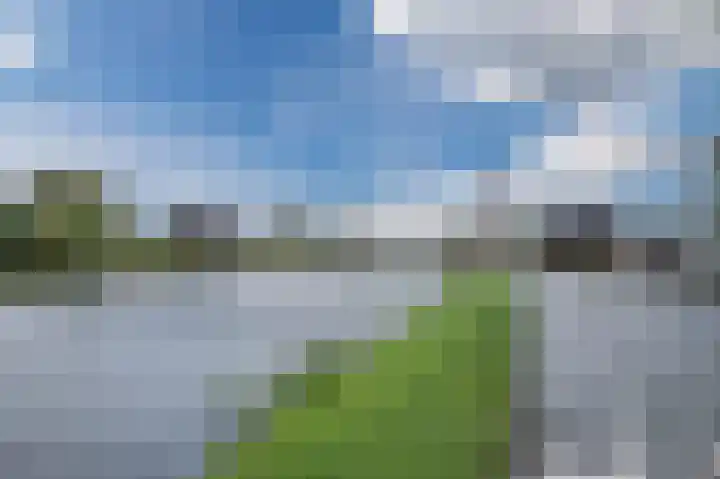 Merelslag 66 de Hoef thumbnail 39