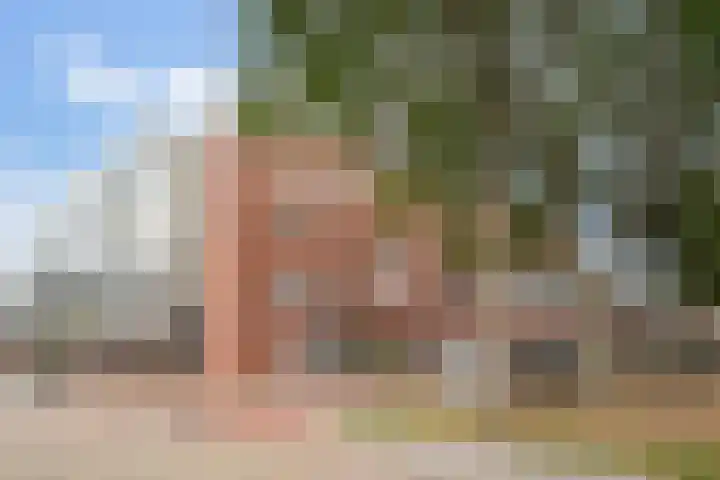 Merelstraat 1 D Alphen aan den Rijn thumbnail 4
