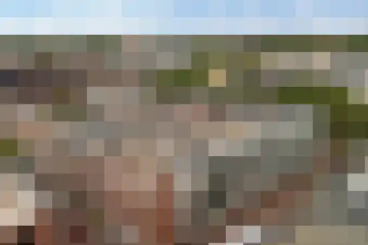 Merelstraat 1 D Alphen aan den Rijn thumbnail 51