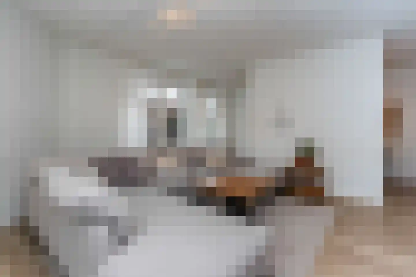 Merelstraat 1 Hilversum thumbnail 7