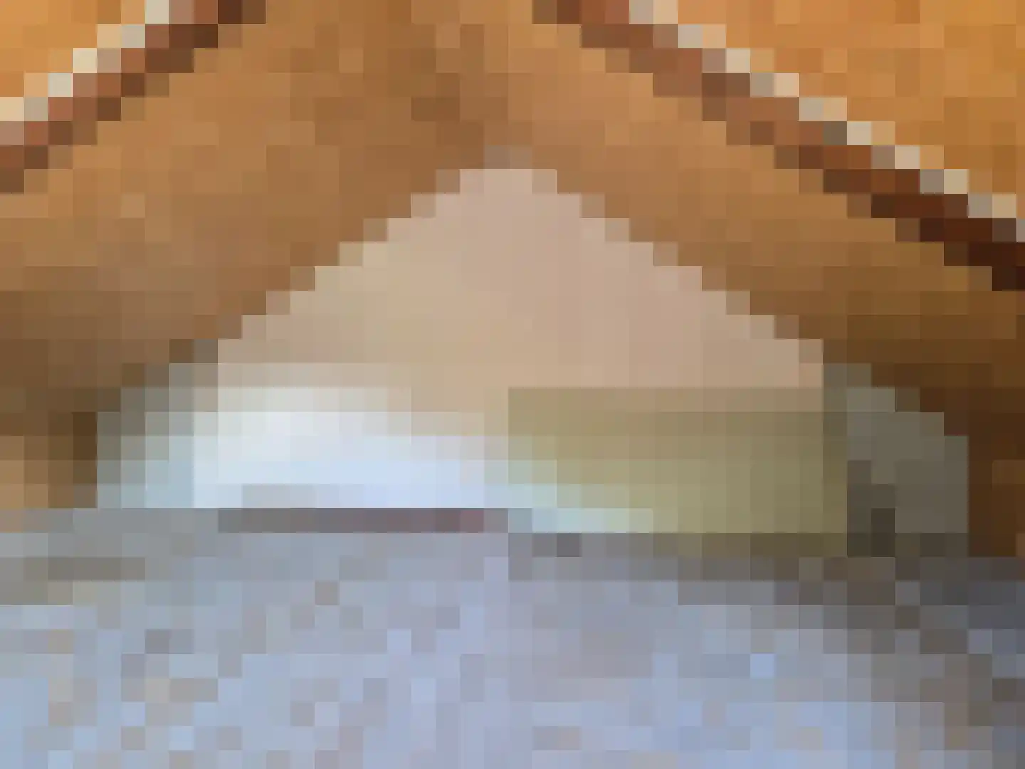 Merelstraat 1 Warmenhuizen thumbnail 25