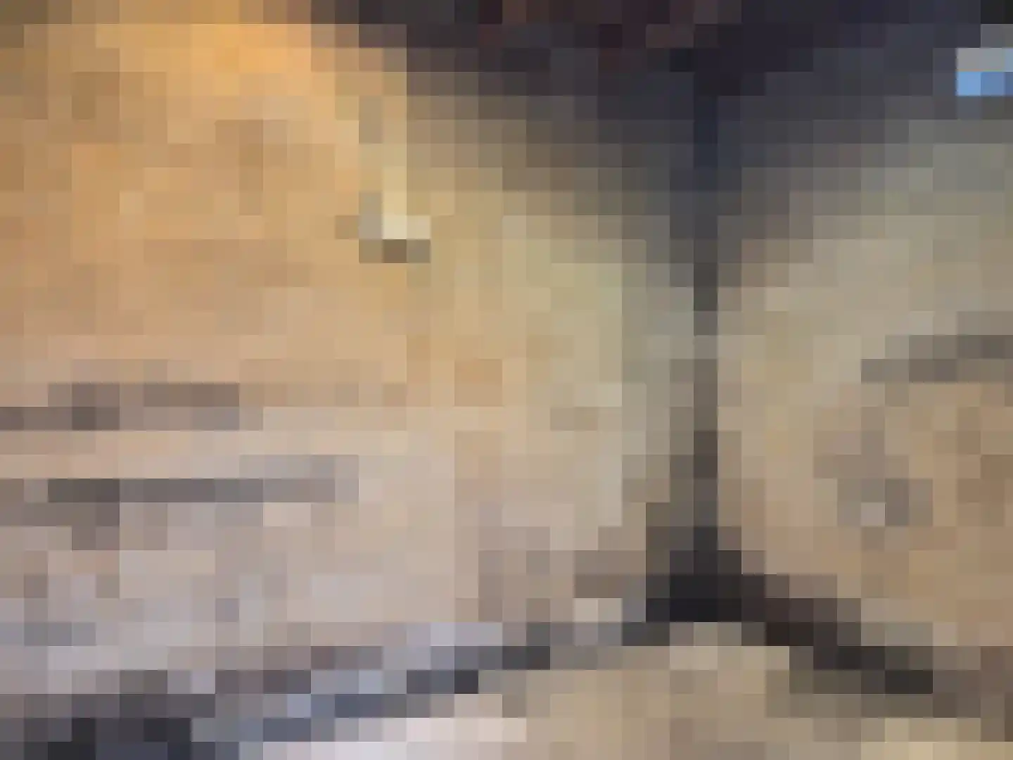 Merelstraat 1 Warmenhuizen thumbnail 9