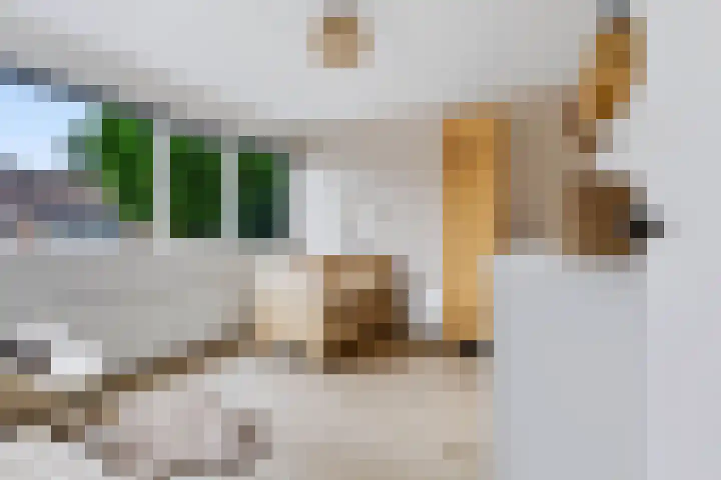 Merelstraat 10 Vaassen thumbnail 20