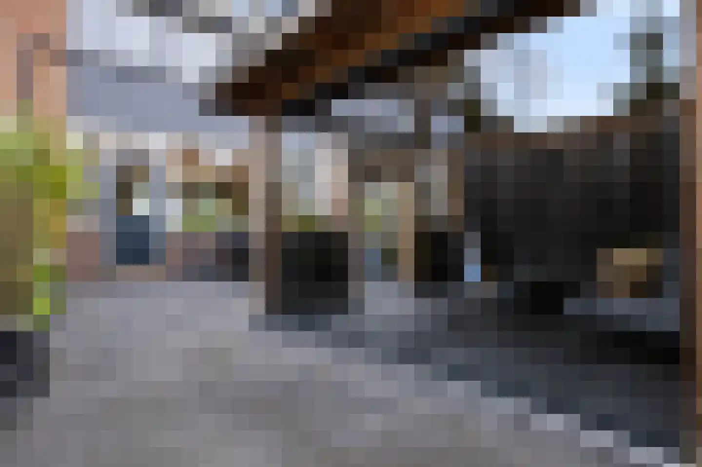 Merelstraat 10 Vaassen thumbnail 34