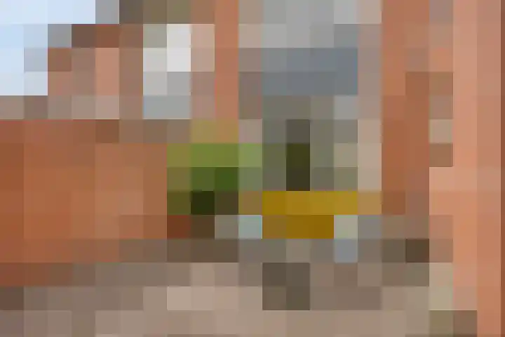 Merelstraat 109 Haaksbergen thumbnail 30