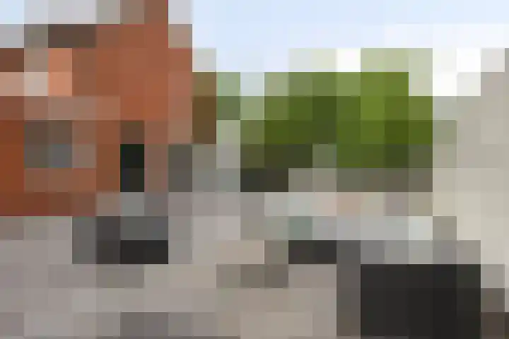Merelstraat 109 Haaksbergen thumbnail 39