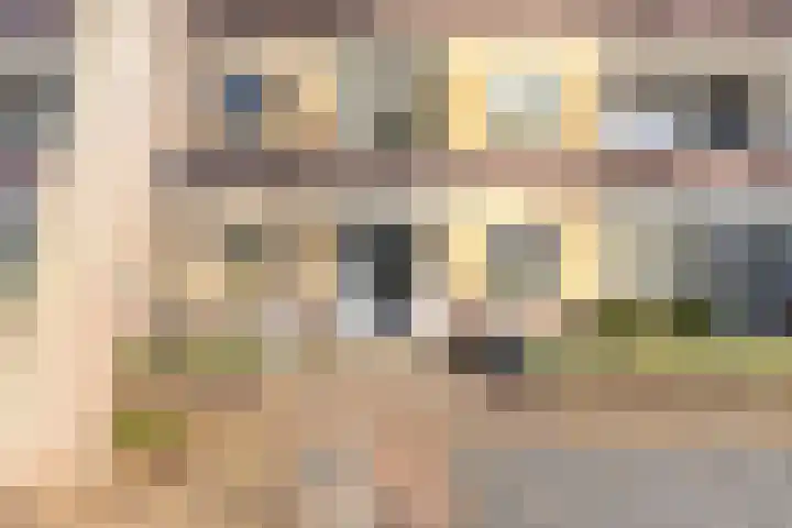Merelstraat 11 Alphen aan den Rijn thumbnail 5