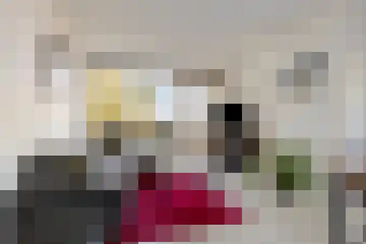 Merelstraat 11 Alphen aan den Rijn thumbnail 9