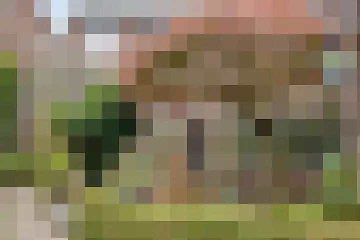 Merelstraat 11 Berg en Terblijt thumbnail 22