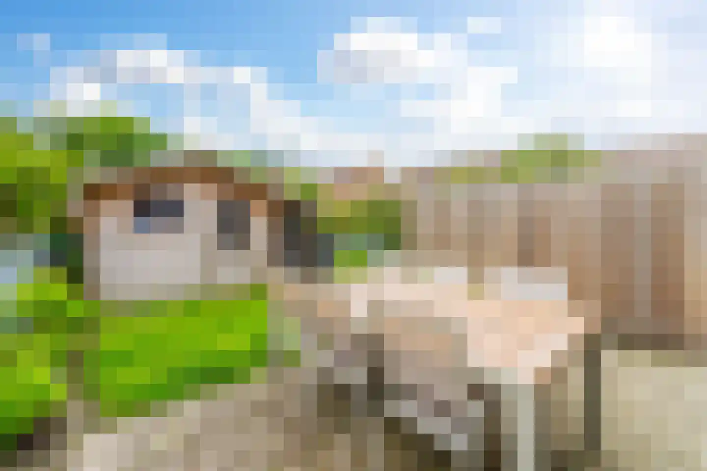 Merelstraat 12 Cadzand thumbnail 4