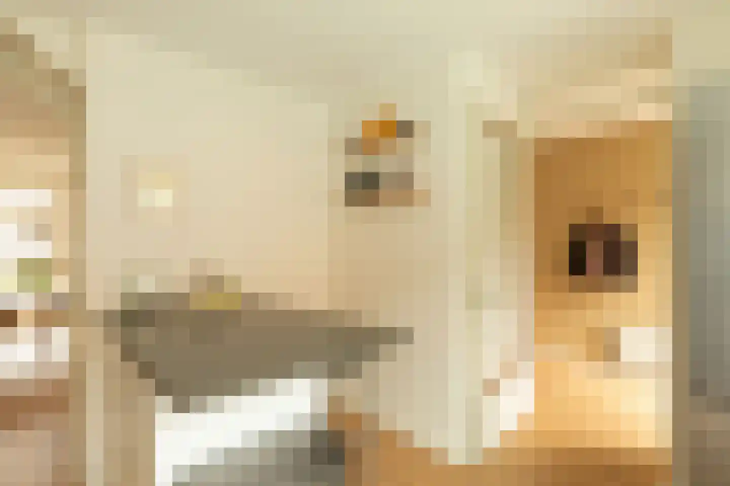 Merelstraat 12 Hilversum thumbnail 14