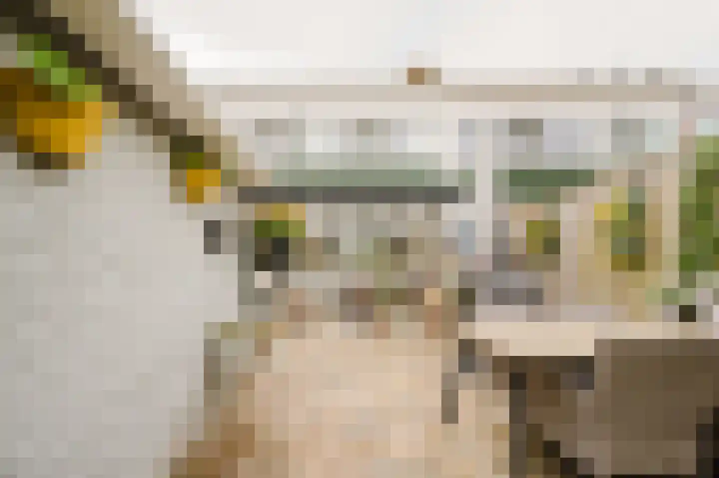 Merelstraat 16 Spijkenisse thumbnail 18