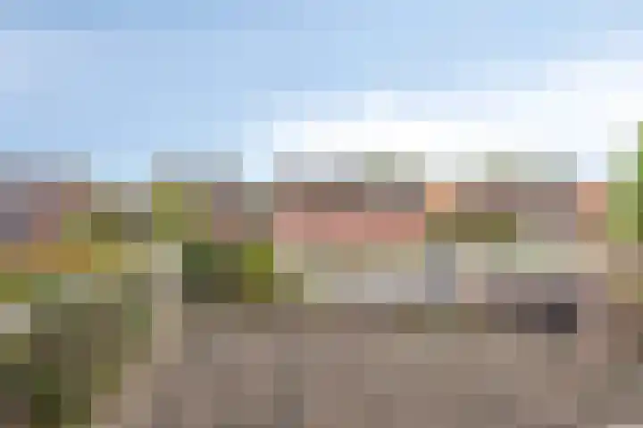 Merelstraat 17 de Lutte thumbnail 17