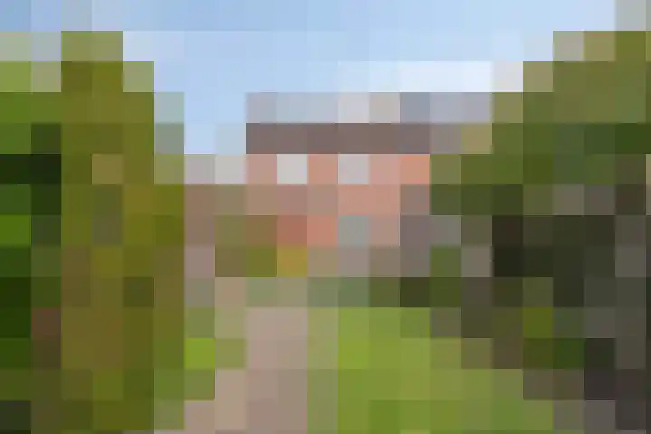 Merelstraat 17 de Lutte thumbnail 18