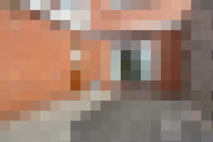 Merelstraat 17 de Lutte thumbnail 19