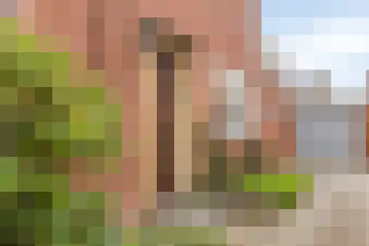 Merelstraat 17 de Lutte thumbnail 24