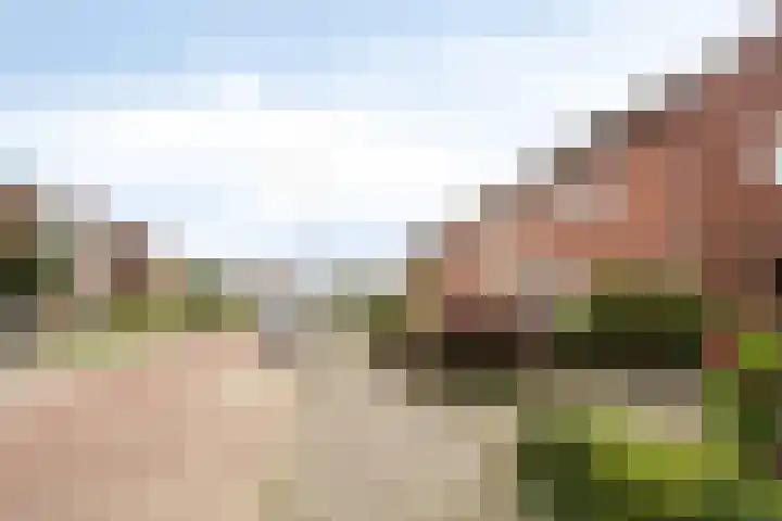 Merelstraat 17 de Lutte thumbnail 26