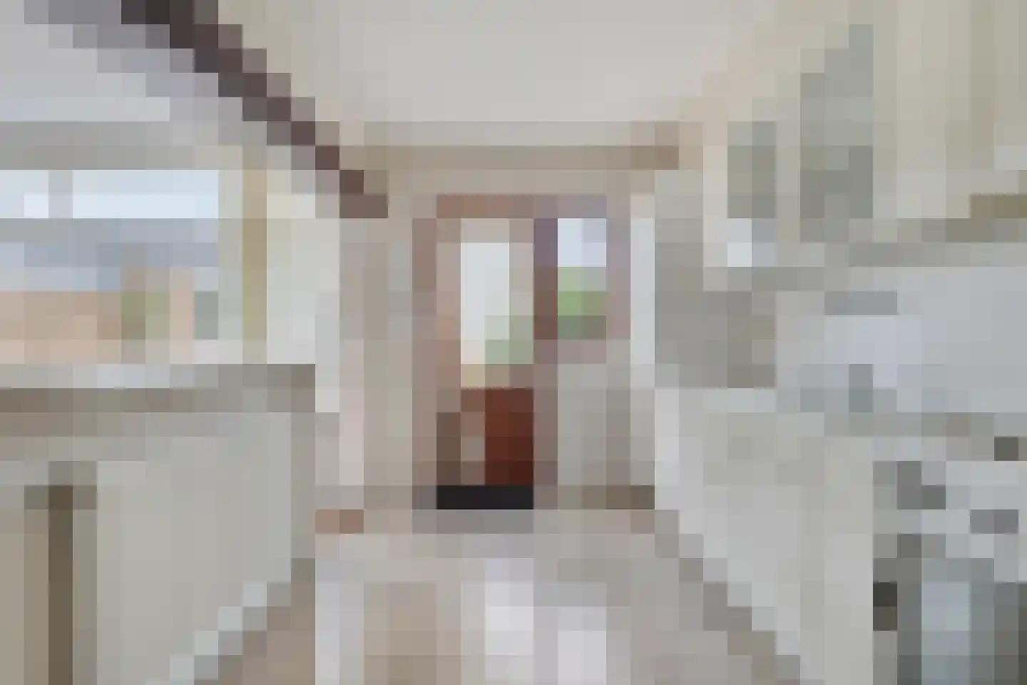 Merelstraat 18 Hulst thumbnail 10