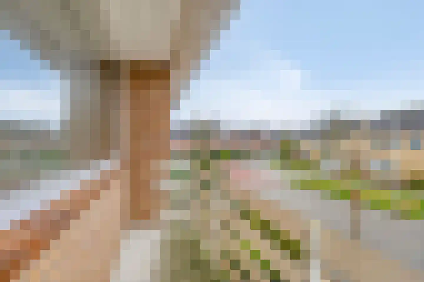 Merelstraat 18 Hulst thumbnail 17