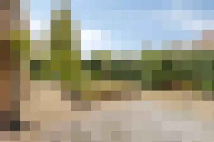 Merelstraat 18 Hulst thumbnail 27