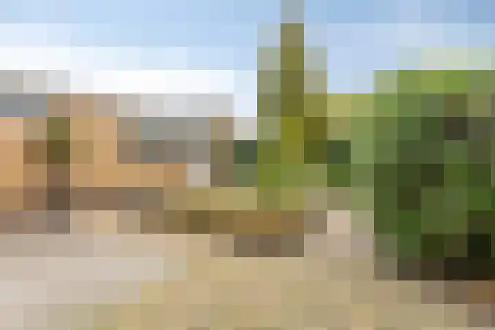 Merelstraat 18 Hulst thumbnail 28