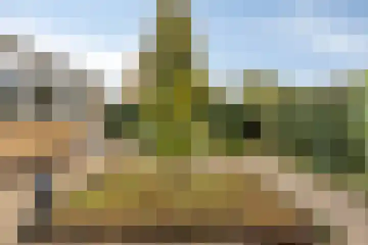 Merelstraat 18 Hulst thumbnail 29
