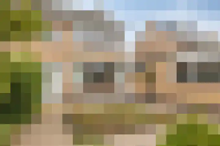 Merelstraat 18 Hulst thumbnail 4